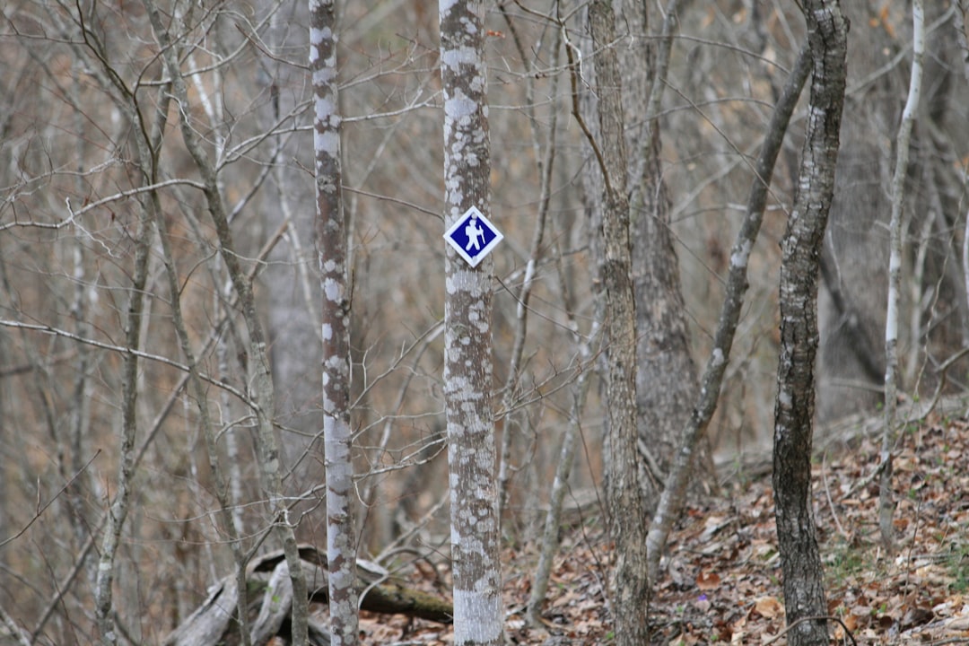 Kijki trekkingowe w górach - czy warto ich używać na szlaku?